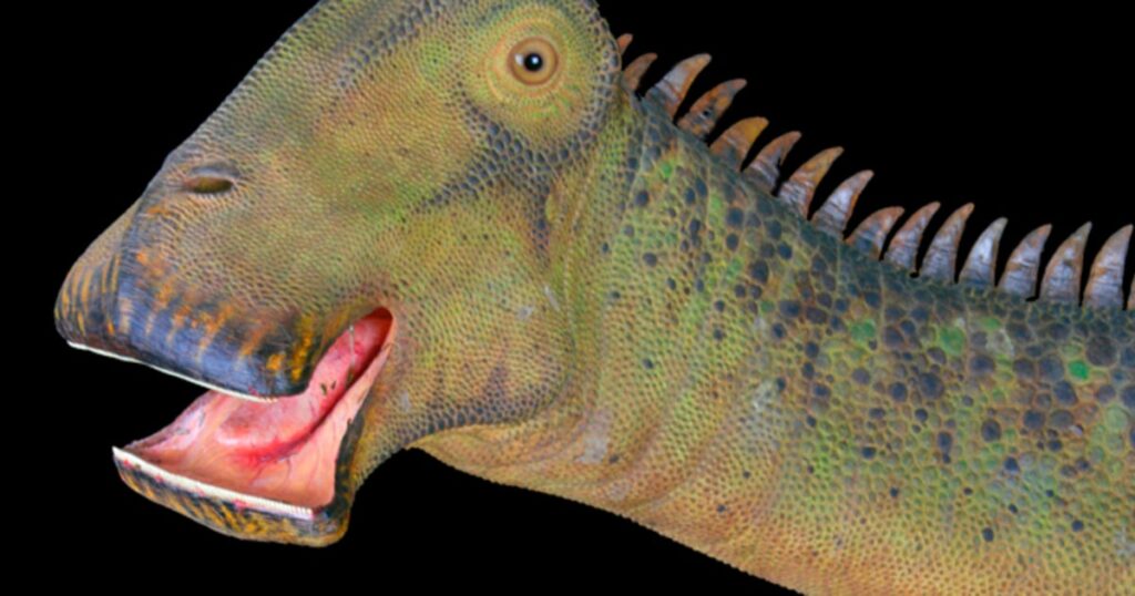What Dinosaur Has 500 Teeth? People Purposely 1 500 teeth
